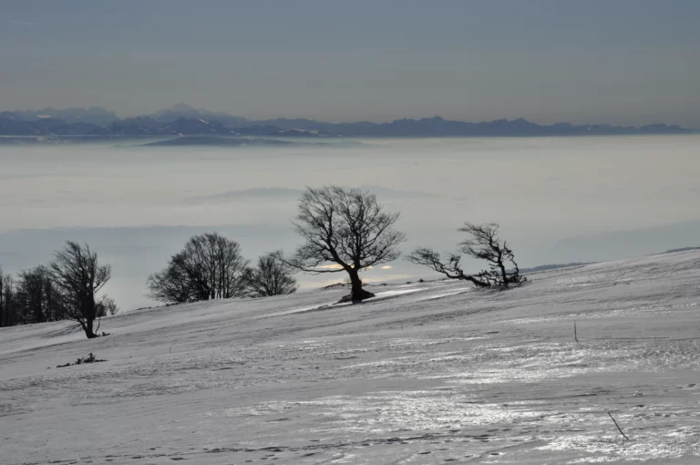 Parc Chasseral