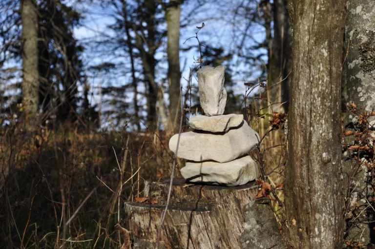 Balade en automne sur le Montoz, Jura bernois