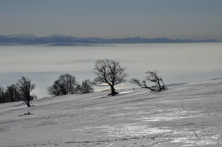 Balade au Mont Sujet en hiver, Parc naturel régional Chasseral, Jura bernois