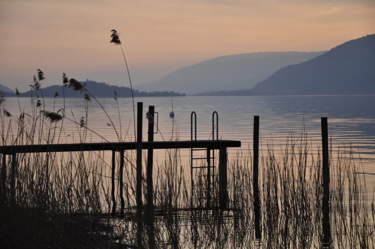 Bord du lac de Bienne