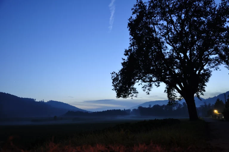 Balade en soirée près de Bienne