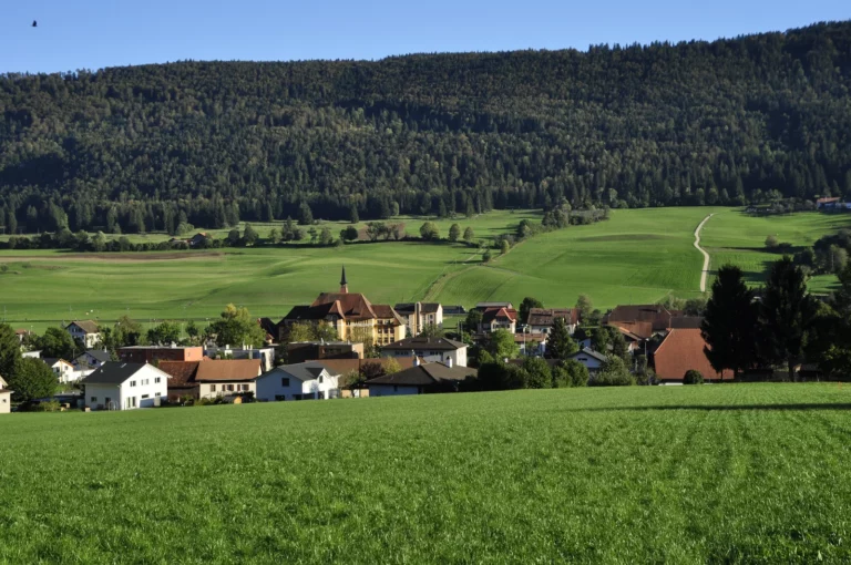 Balade dans les paturages, Courtelary, Jura bernois