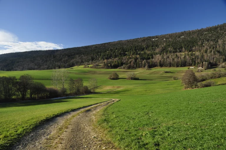 Balade dans les paturages, Courtelary, Jura bernois