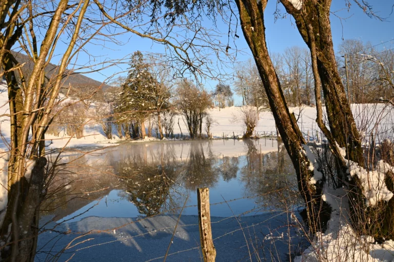 Balade en hiver, Courtelary, Jura bernois