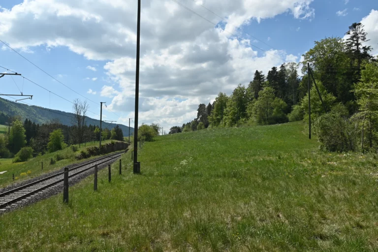 Balade au printemps dans le vallon de St-Imier, Jura bernois