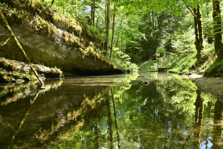 Balade au printemps à la source de la Dou, Cormoret, Jura bernois