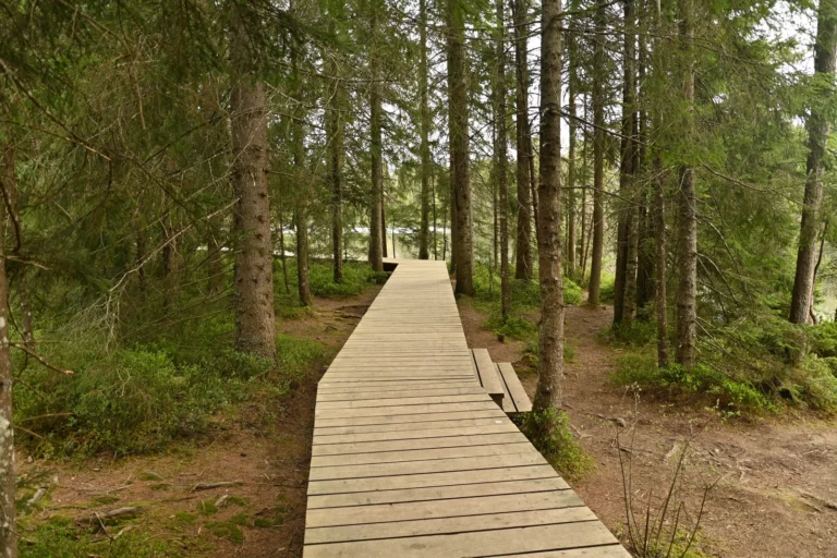Balade en été à l'étang de la Gruère, Franches-Montagnes