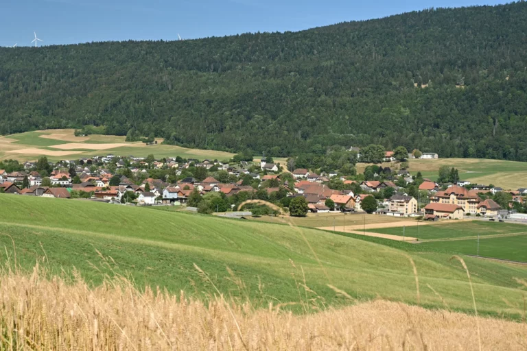 Balade dans les paturages, Courtelary, Jura bernois