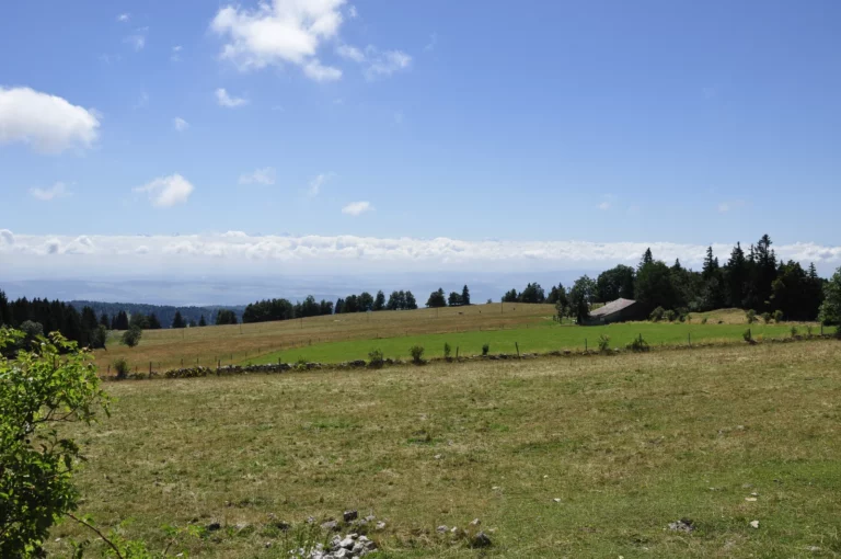 Vue depuis le site d'escalade de La Rochette sur le Montoz, Jura bernois