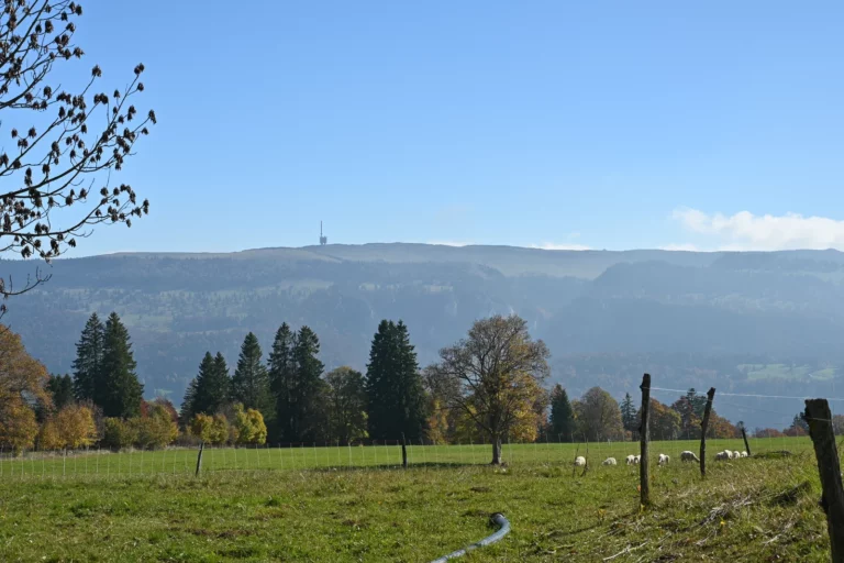 Balade en automne à Mont-Soleil, Jura bernois