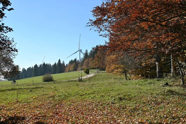 Balade en automne à Mont-Soleil, Jura bernois